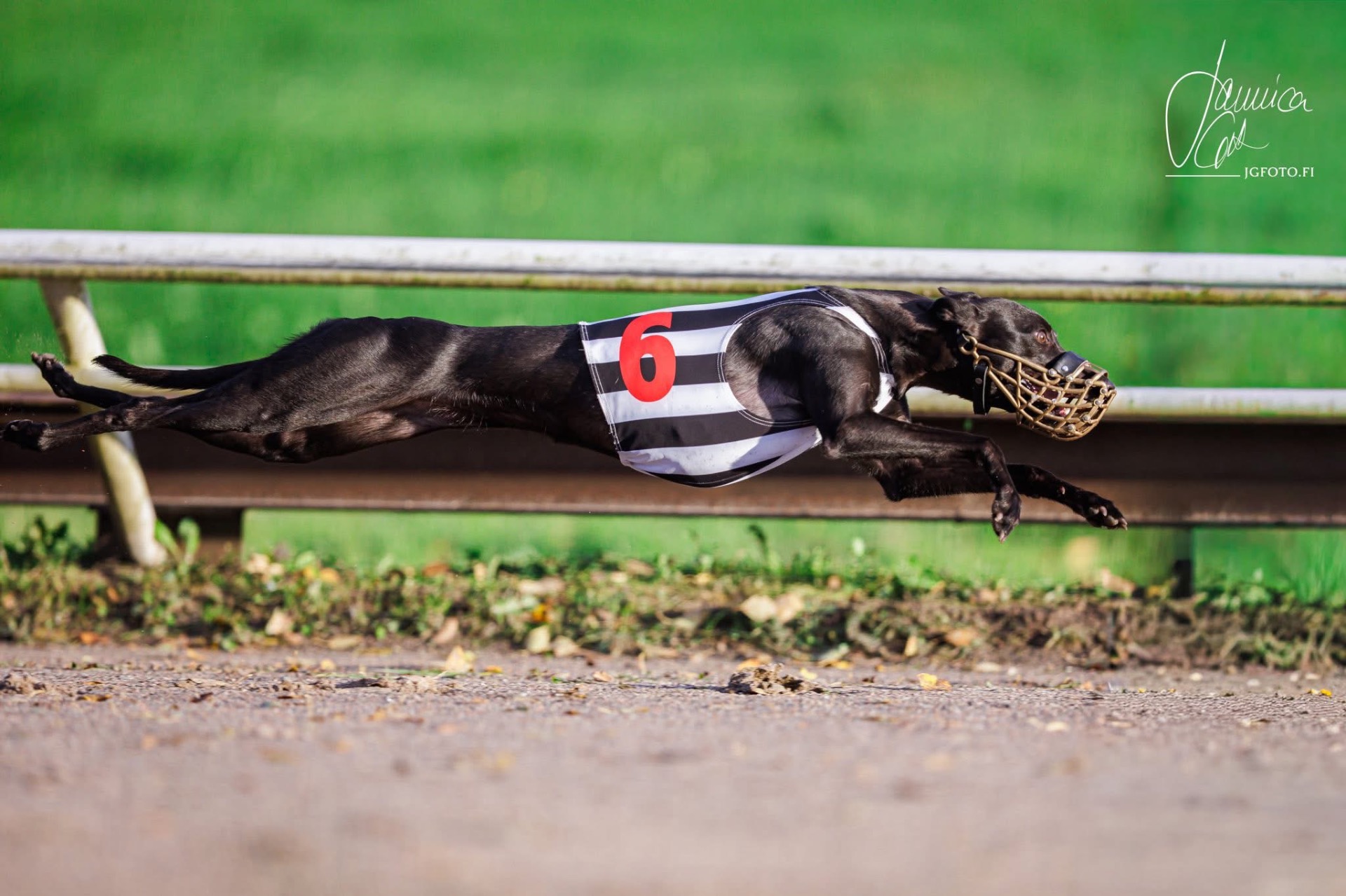 Kuva: Jannica Grönmark