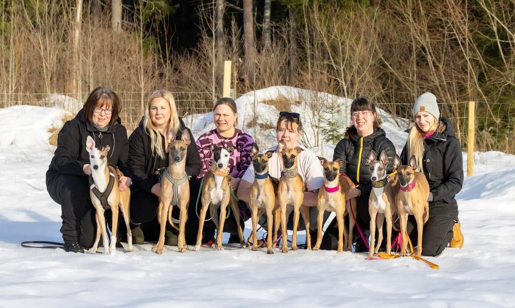 Team Swift Diamonds ❤️