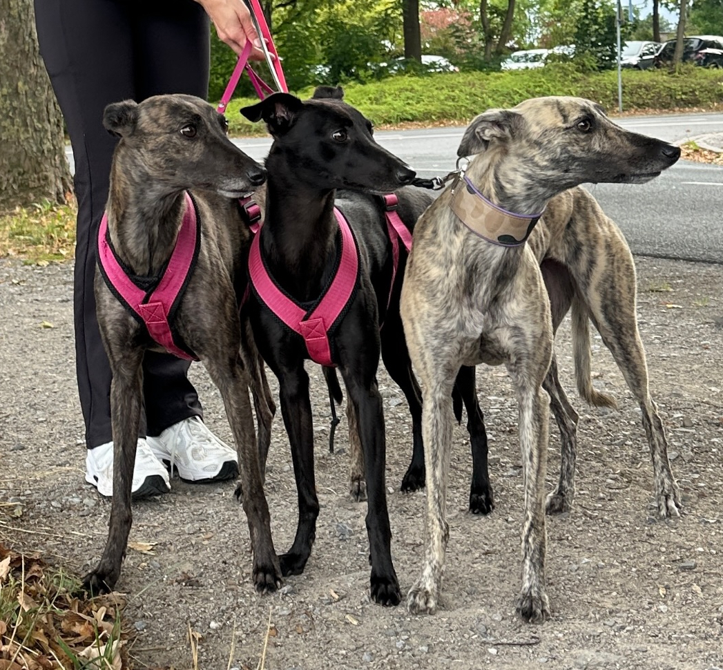 Äiti ja tyttäret Maya (Butterfly Effect) & Tara (Bloody Mary)